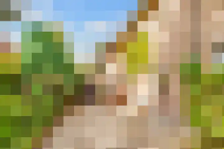 Julianaweg 30 Doorn thumbnail 4