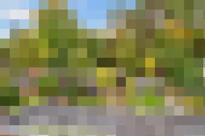 Julianaweg 30 Doorn thumbnail 43