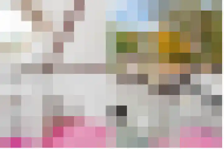 Julianaweg 30 Doorn thumbnail 44
