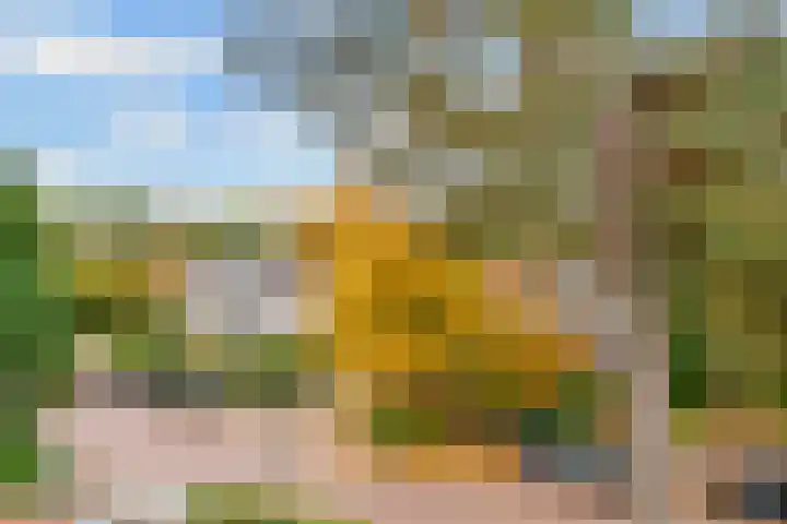 Julianaweg 30 Doorn thumbnail 46