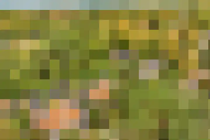 Julianaweg 30 Doorn thumbnail 47
