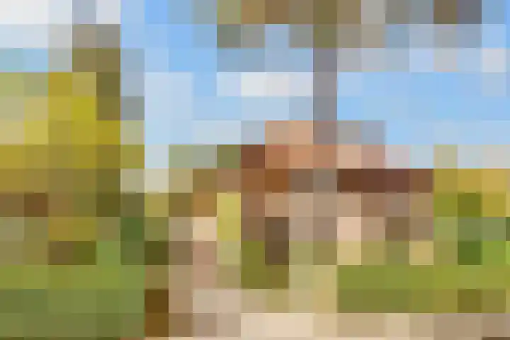 Julianaweg 30 Doorn thumbnail 49