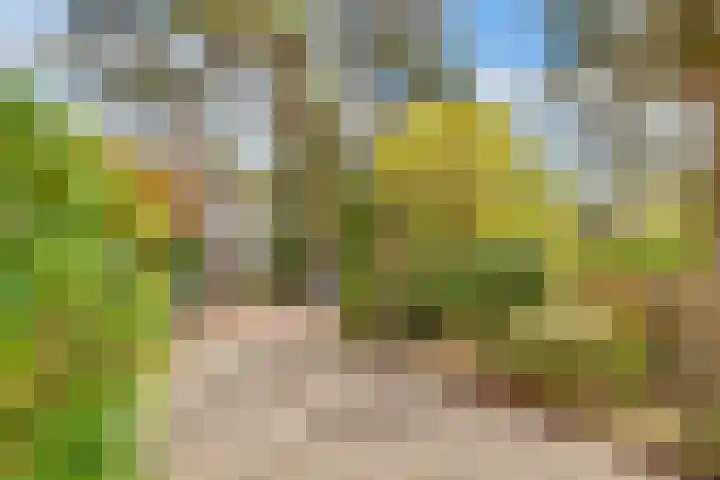 Julianaweg 30 Doorn thumbnail 50