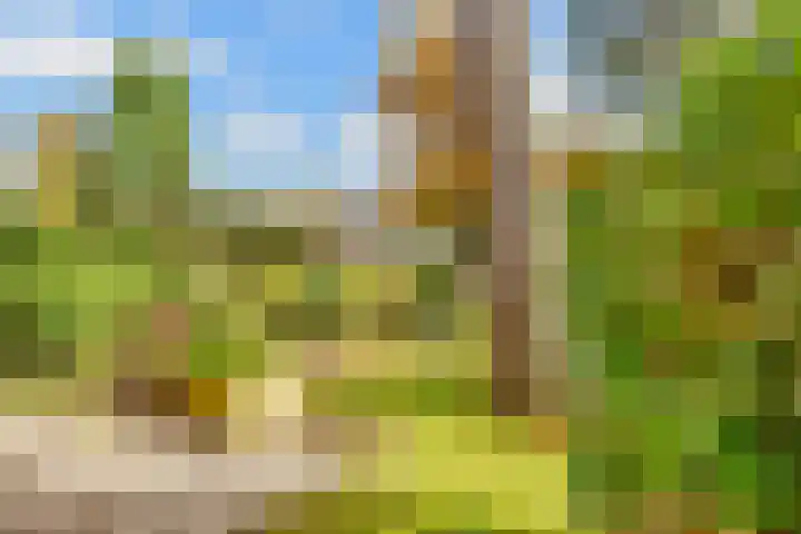 Julianaweg 30 Doorn thumbnail 52