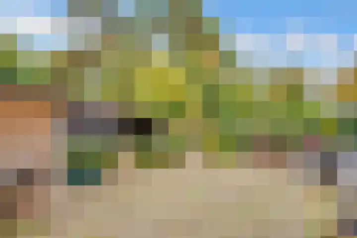 Julianaweg 30 Doorn thumbnail 53
