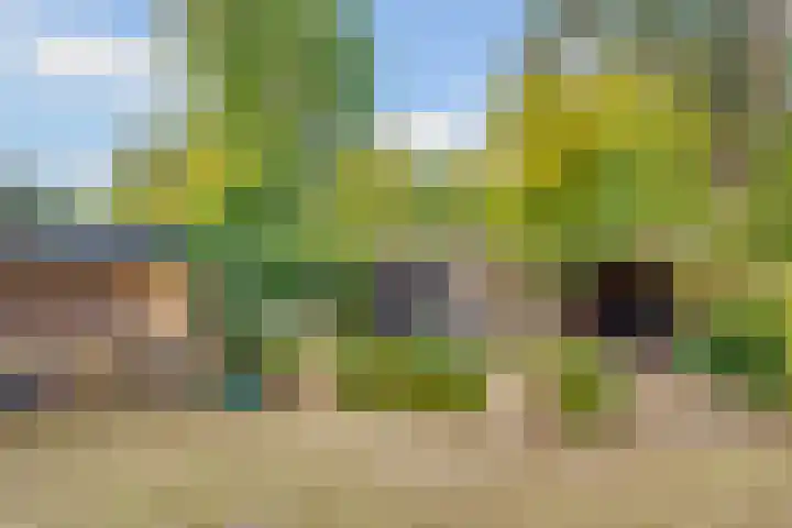 Julianaweg 30 Doorn thumbnail 54