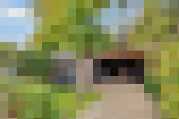 Julianaweg 30 Doorn thumbnail 55