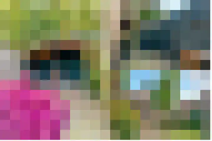 Julianaweg 30 Doorn thumbnail 56
