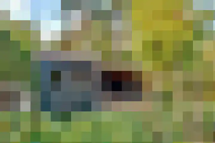 Julianaweg 30 Doorn thumbnail 58