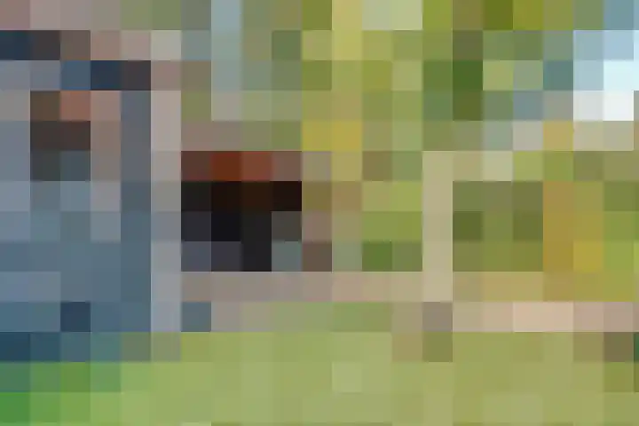 Julianaweg 30 Doorn thumbnail 59