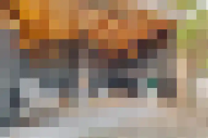 Julianaweg 30 Doorn thumbnail 60