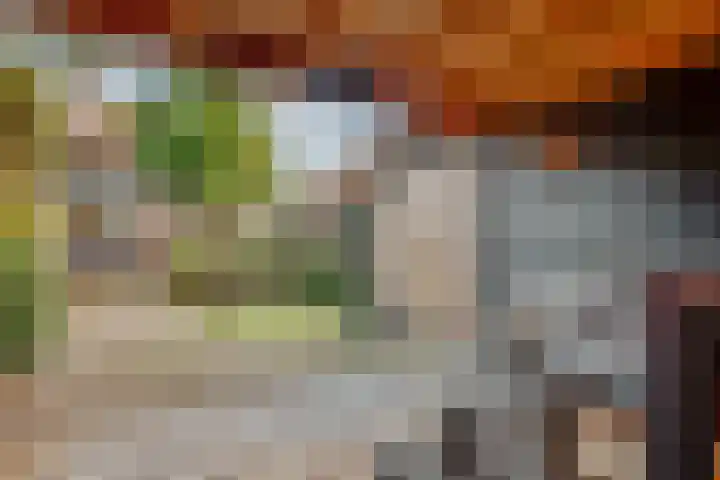 Julianaweg 30 Doorn thumbnail 61