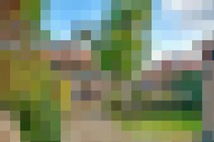 Julianaweg 30 Doorn thumbnail 62