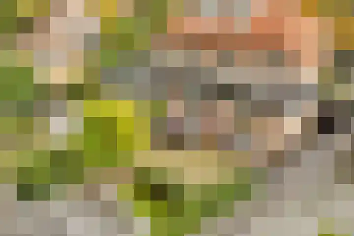 Julianaweg 30 Doorn thumbnail 67