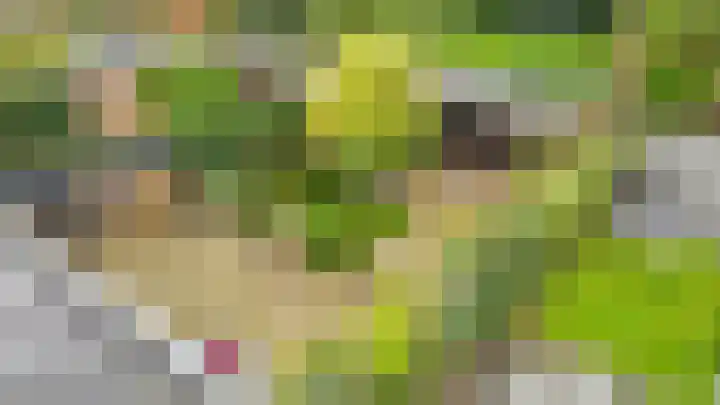 Julianaweg 30 Doorn thumbnail 68