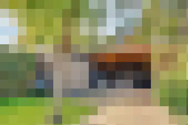 Julianaweg 30 Doorn thumbnail 69