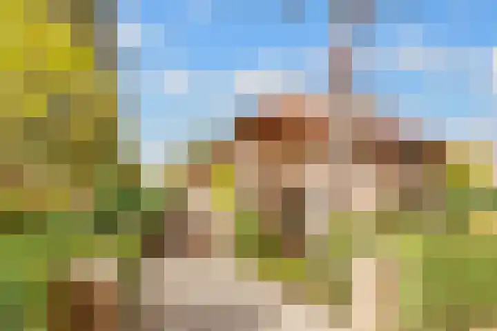 Julianaweg 30 Doorn thumbnail 70
