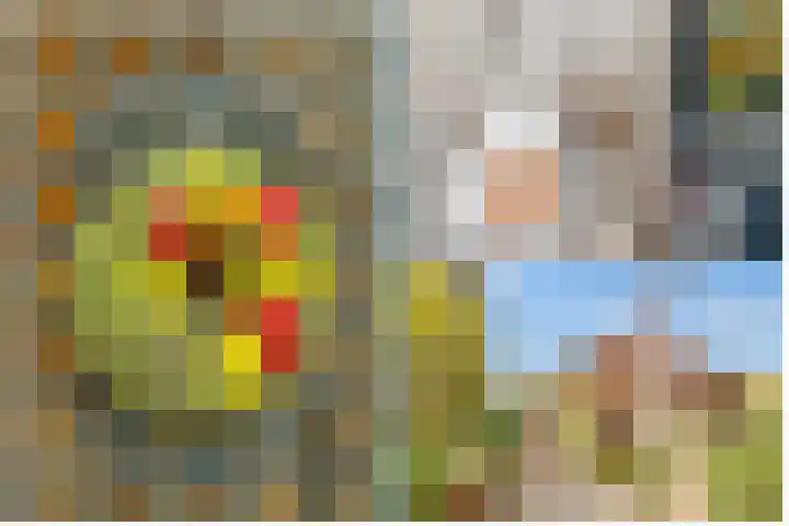Julianaweg 30 Doorn thumbnail 8
