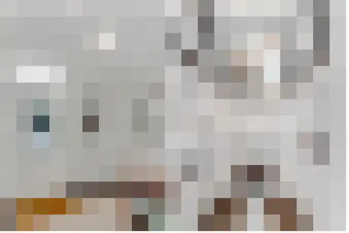 Julianaweg 30 Doorn thumbnail 9