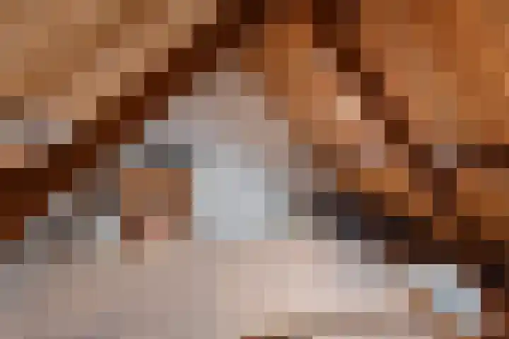 Julianaweg 303 Utrecht thumbnail 21
