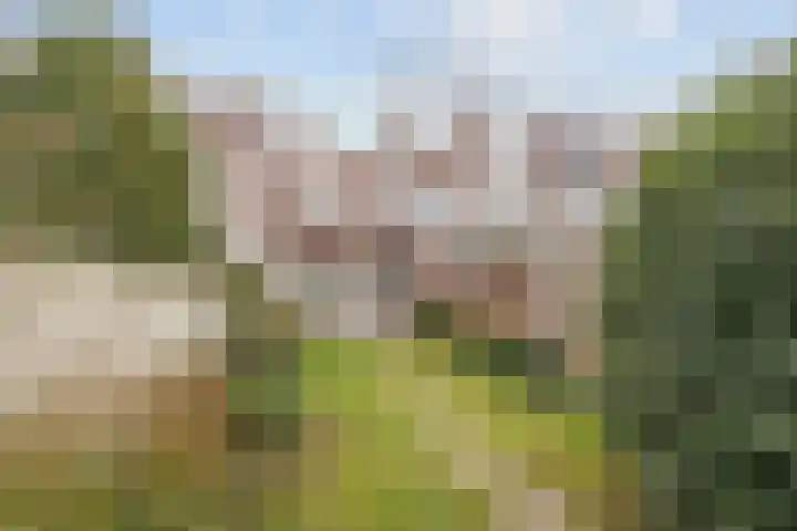 Julianaweg 303 Utrecht thumbnail 22