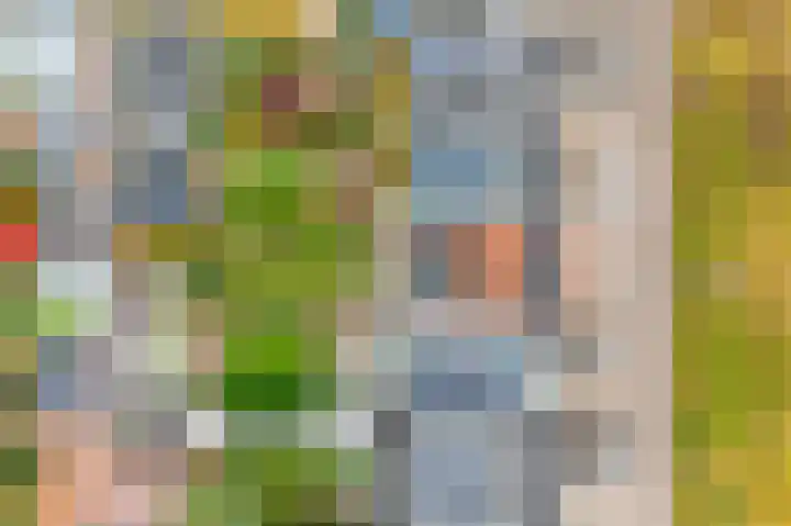 Julianaweg 303 Utrecht thumbnail 23