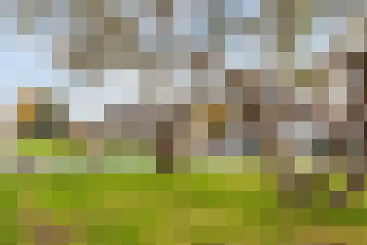 Julianaweg 303 Utrecht thumbnail 25