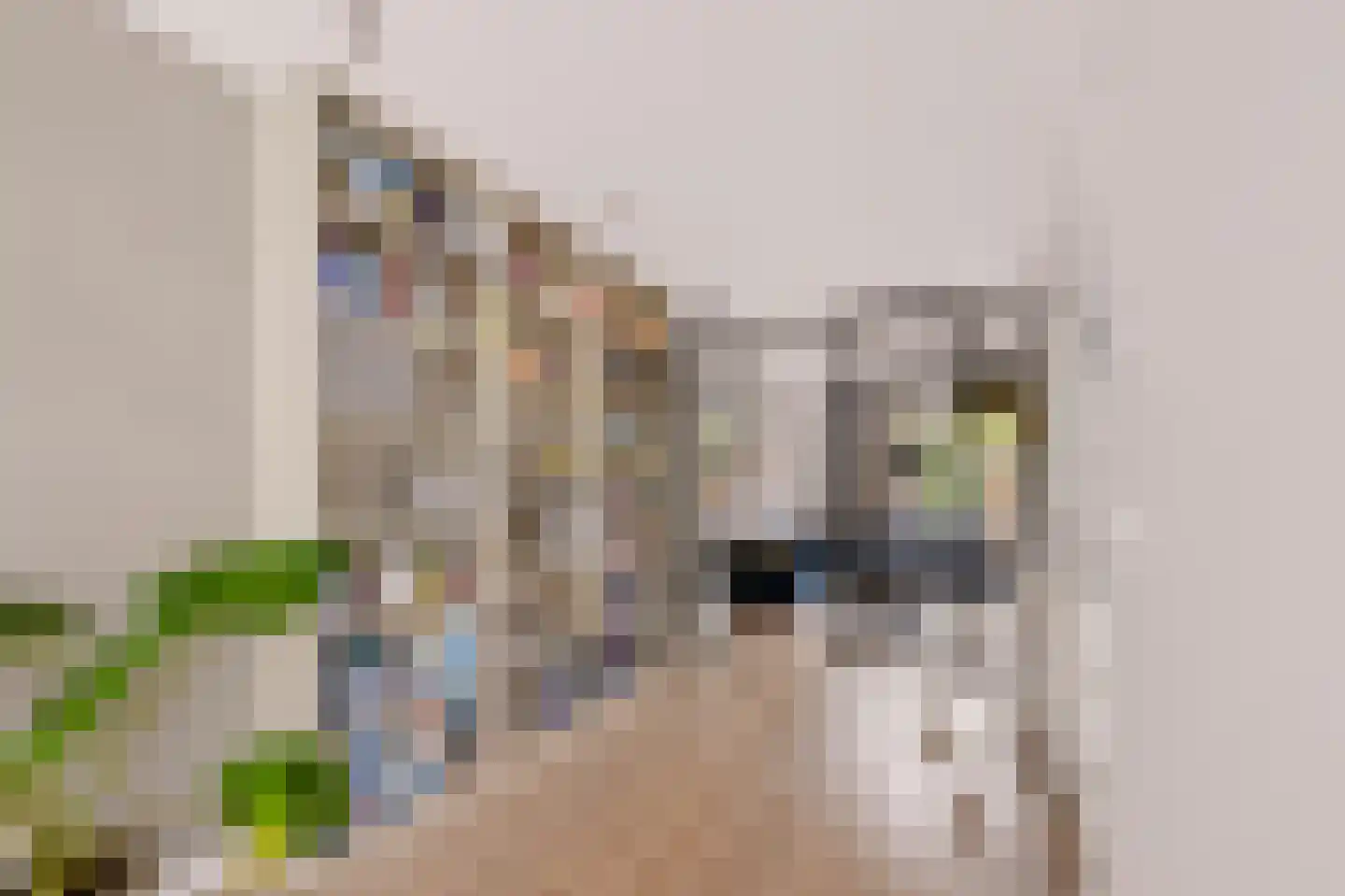 Julianaweg 32 Doorn thumbnail 15