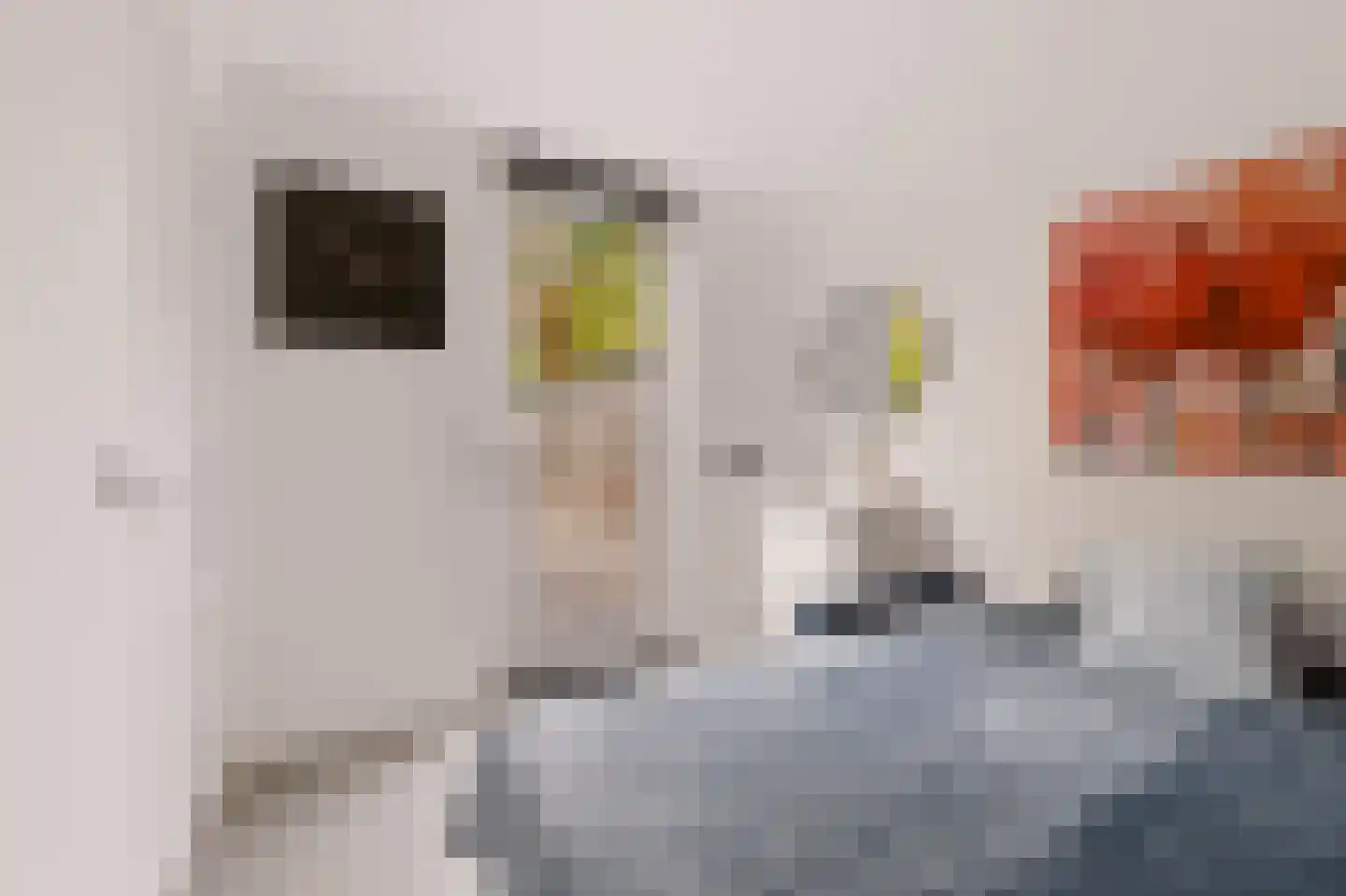 Julianaweg 32 Doorn thumbnail 21
