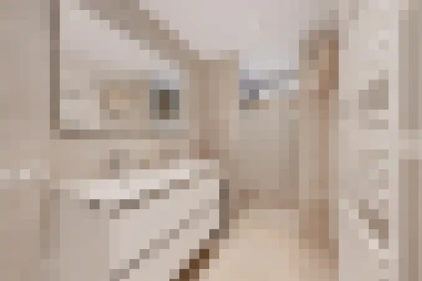 Julianaweg 32 Doorn thumbnail 34