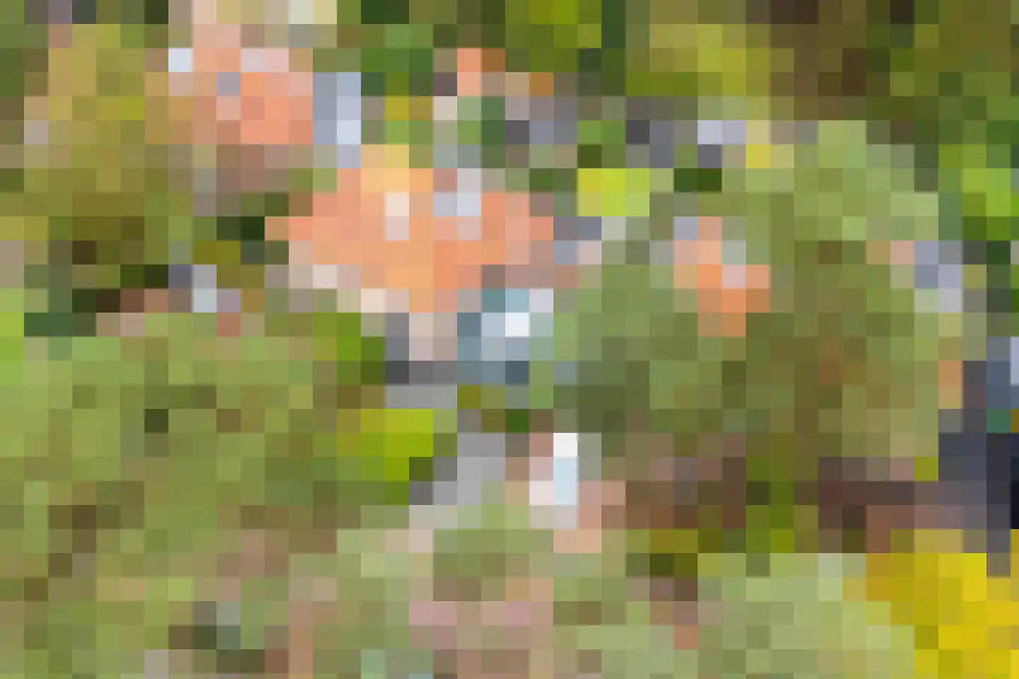 Julianaweg 32 Doorn thumbnail 45