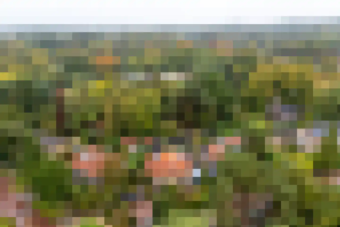 Julianaweg 32 Doorn thumbnail 47