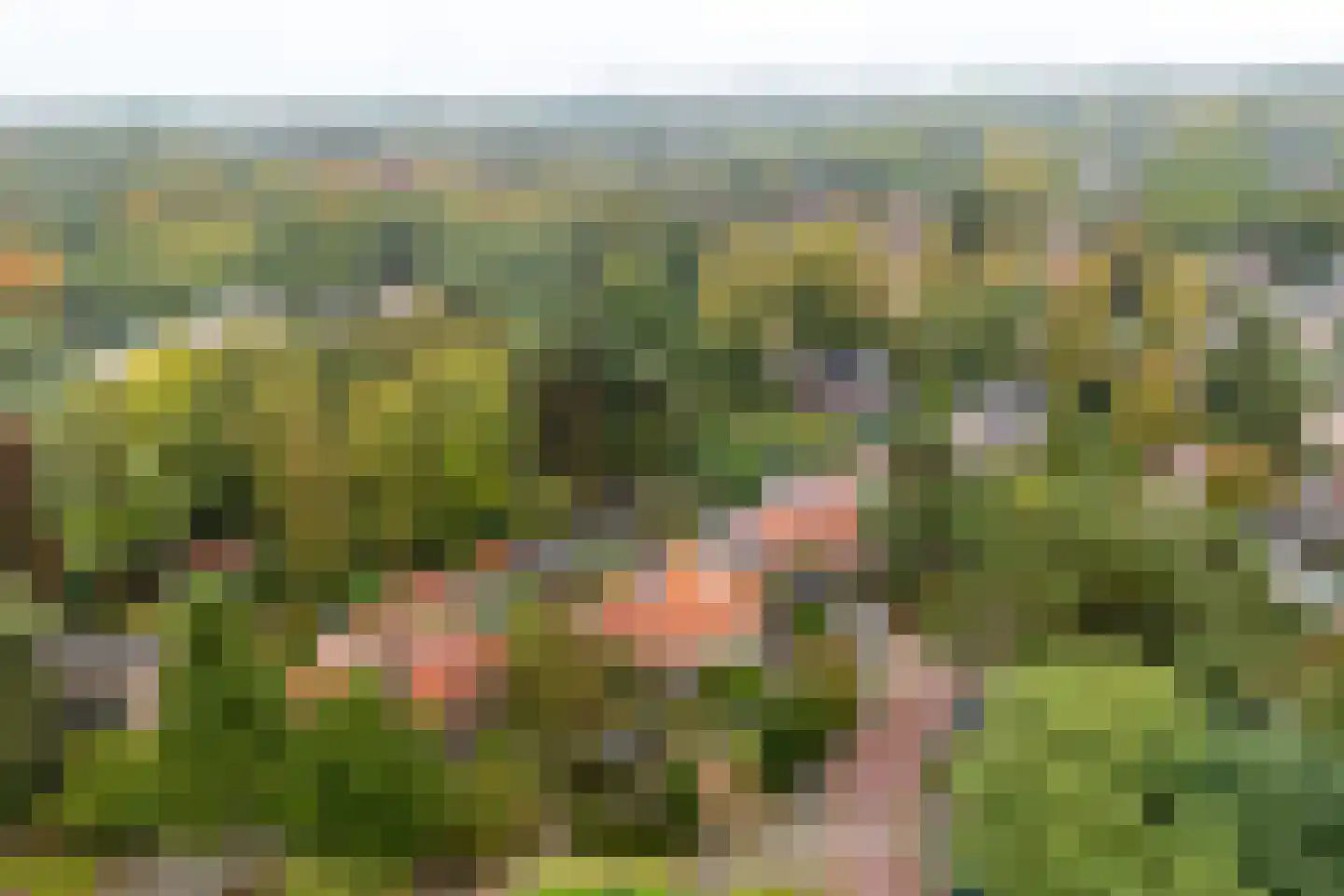 Julianaweg 32 Doorn thumbnail 48