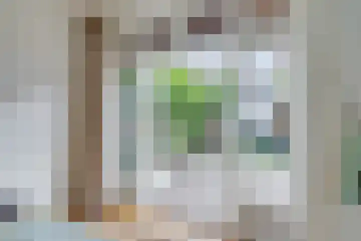 Julianaweg 324 Utrecht thumbnail 11