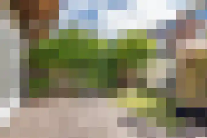 Julianaweg 324 Utrecht thumbnail 13