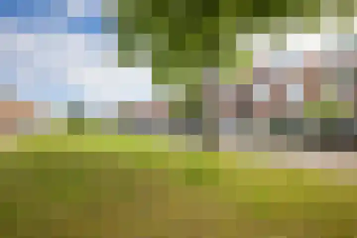 Julianaweg 324 Utrecht thumbnail 4