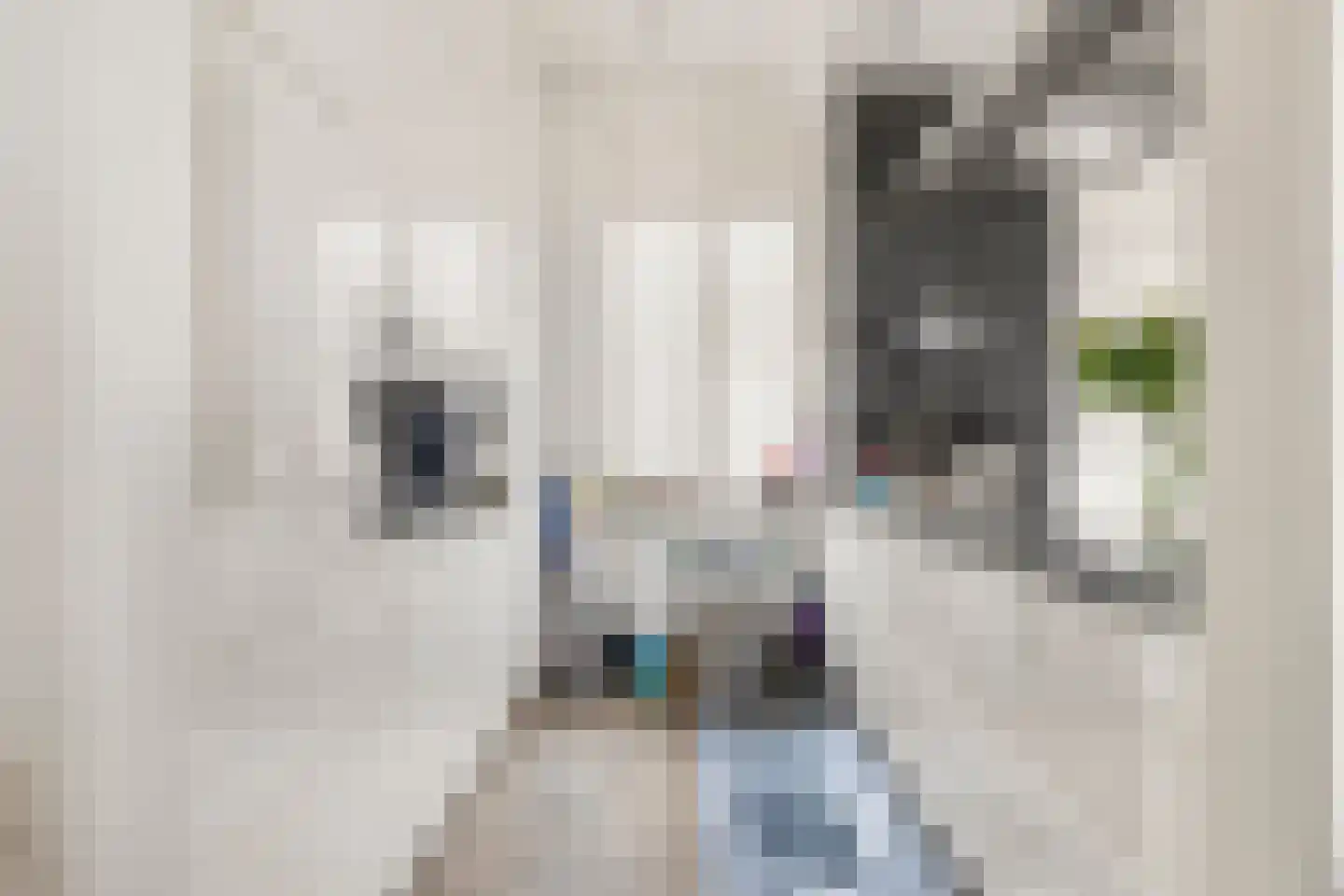 Julianaweg 33 Wijk aan Zee thumbnail 9
