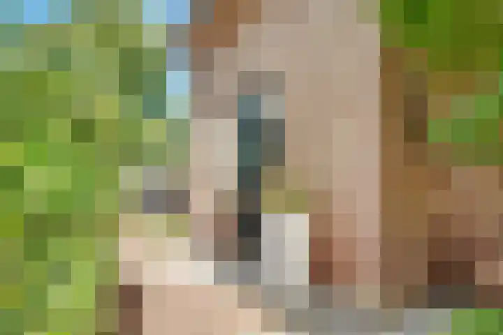 Julianaweg 34 Doorn thumbnail 10
