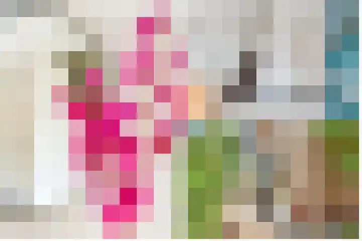 Julianaweg 34 Doorn thumbnail 12