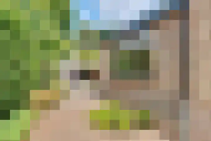 Julianaweg 34 Doorn thumbnail 37