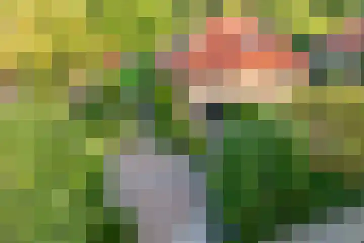 Julianaweg 34 Doorn thumbnail 4