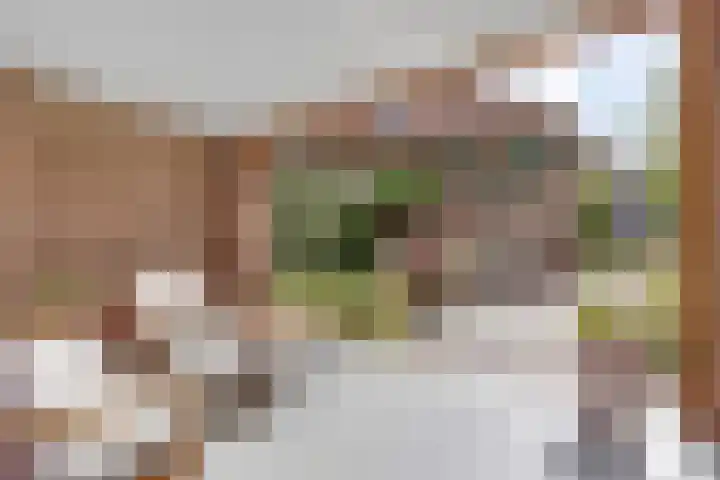 Julianaweg 34 Doorn thumbnail 42