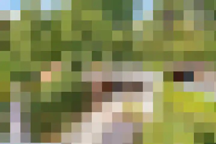 Julianaweg 34 Doorn thumbnail 43