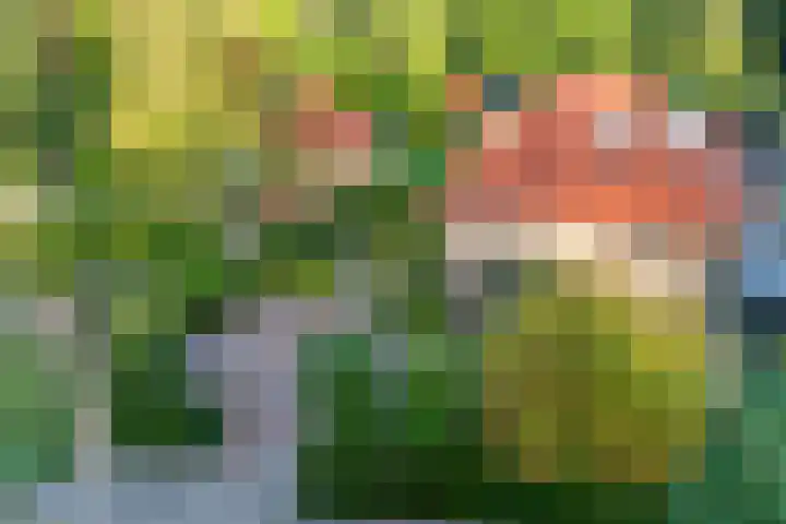 Julianaweg 34 Doorn thumbnail 47