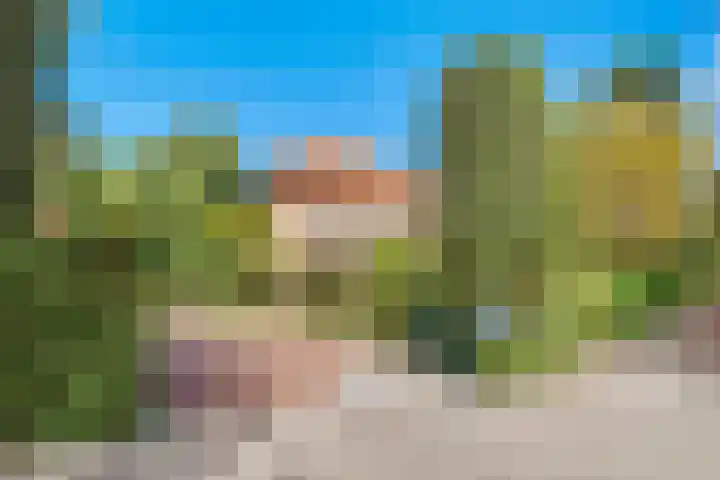 Julianaweg 34 Doorn thumbnail 48