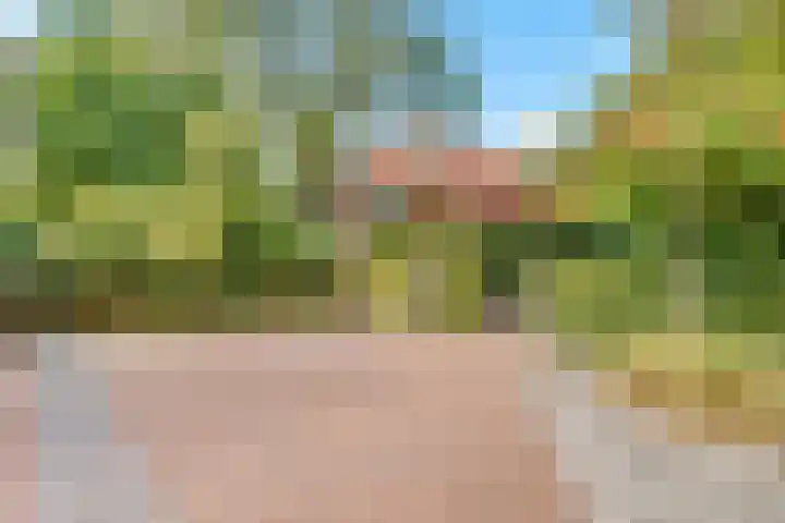 Julianaweg 34 Doorn thumbnail 49