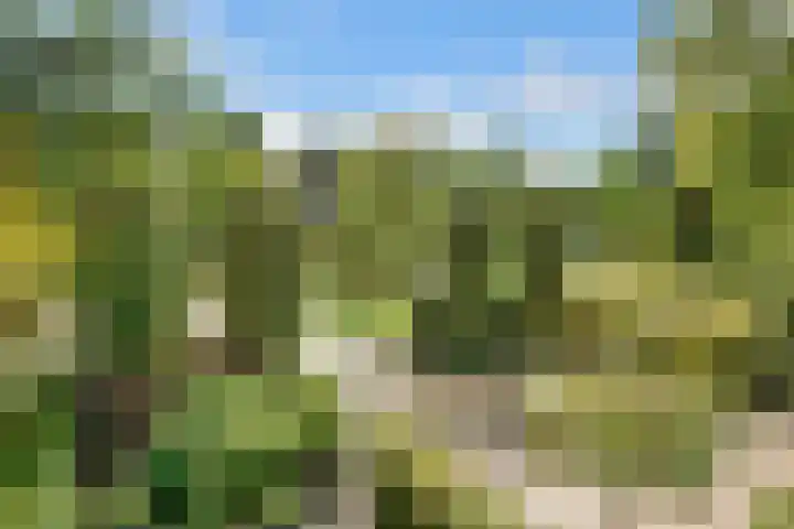Julianaweg 34 Doorn thumbnail 51