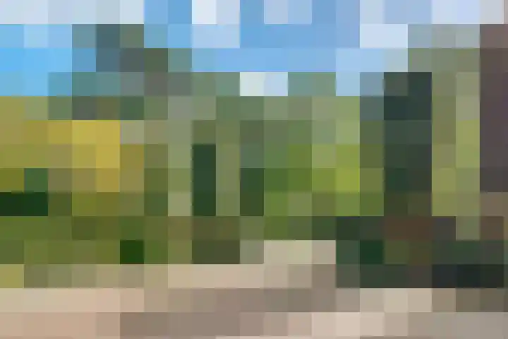 Julianaweg 34 Doorn thumbnail 52