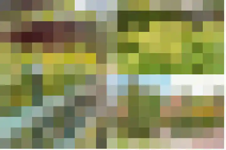 Julianaweg 34 Doorn thumbnail 53