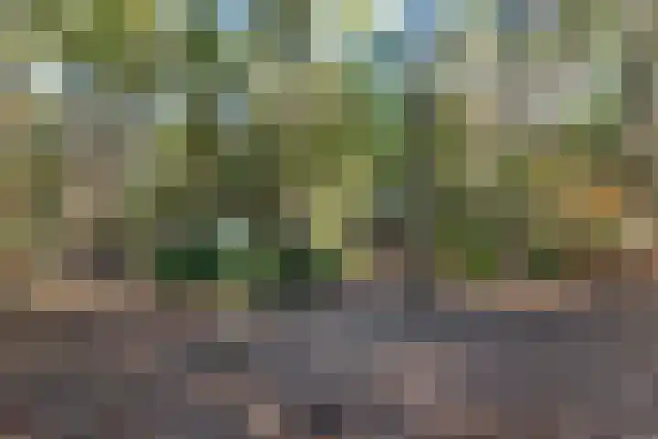 Julianaweg 34 Doorn thumbnail 54